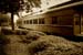 Ashley Earles-Bennett Photo